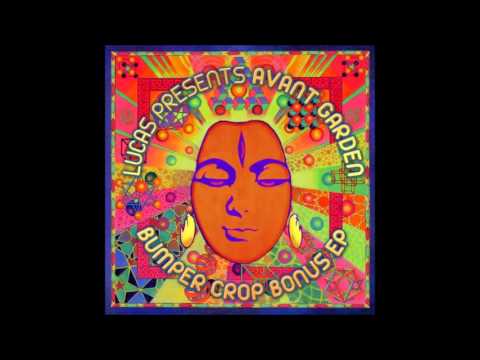Lucas O'Brien & Space Tribe - Magic Carpet Ride