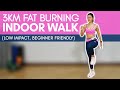3KM Fat Burning Indoor Walk (Burn up to 400 Calories!!*) | Joanna Soh