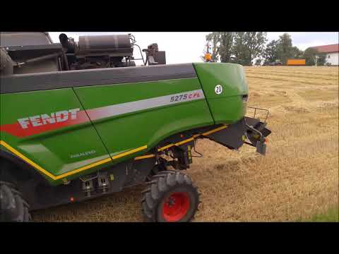 Weizendreschen mit einem Fendt 5275 C PL #Landwirtschaft Niederbayern