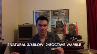 How To Play Canned Heat's Whiskey & Women (Harmonica Tutorial)