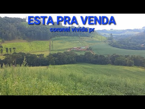 TERRENO PRA VENDA EM CORONEL VIVIDA PR 