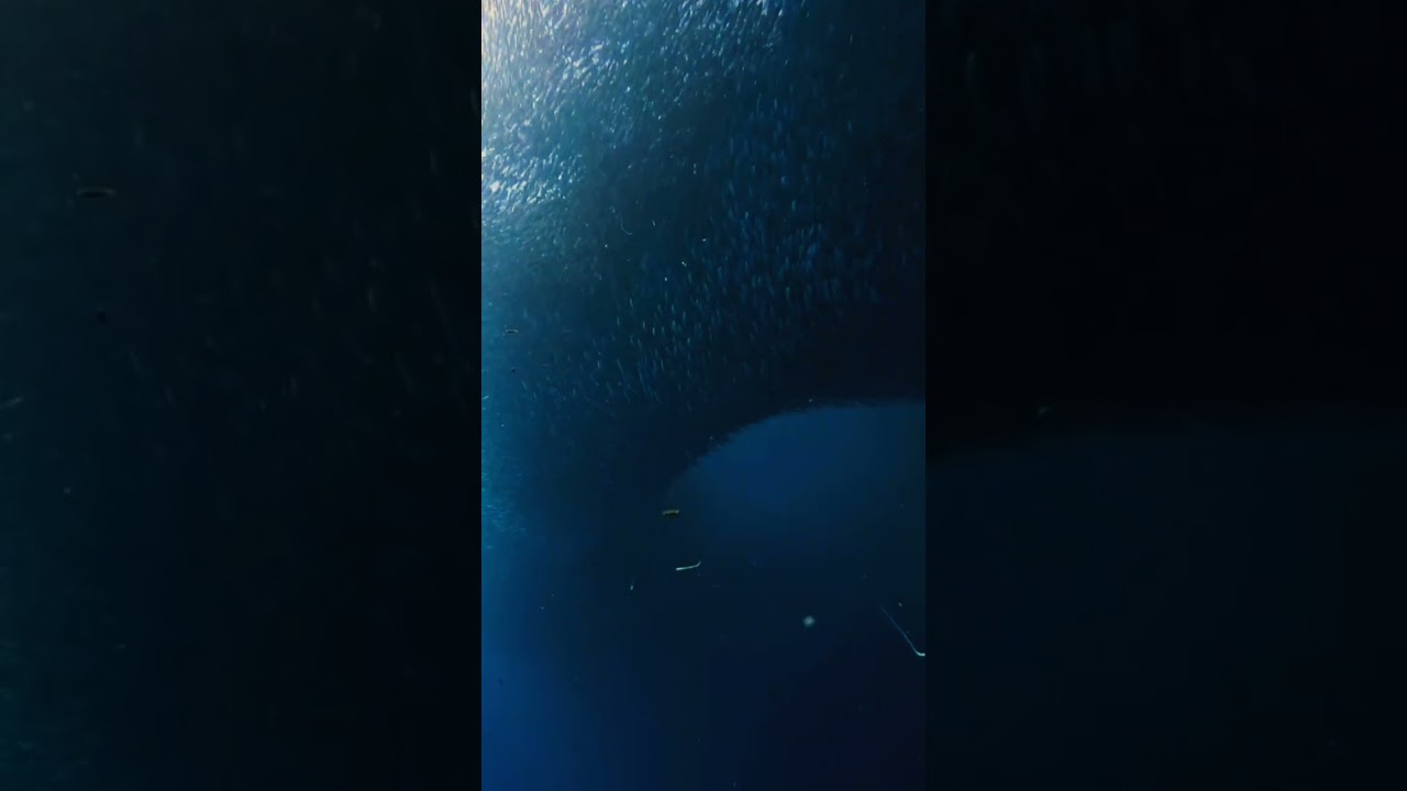 YouTube Short thumbnail