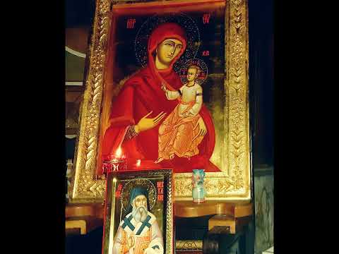 Vino, Sfinte Nectarie