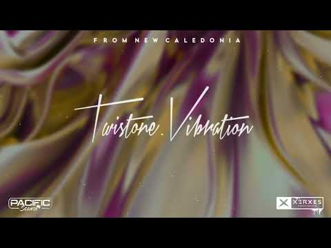 DISCOBITCH - LA BOURGEOISIE ( SHOOTY X87 )  MIX 2024