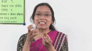 Body Structure and Life Process - Part 4