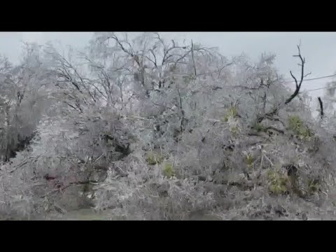 Texas ice storm: Disaster declaration issued for Travis County | FOX 7 Austin