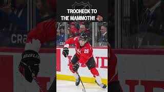 Mammoth Land Vincent Trocheck ????