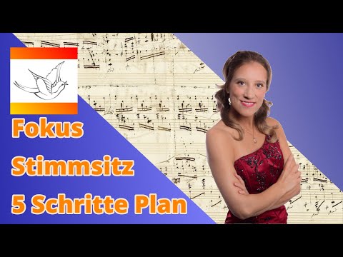 Fokus, Stimmsitz : Dein 5 Schritte Plan