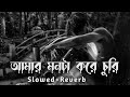 আমার মনটা করে চুরি | Amar Monta Korr Chori | Slowedz+Reverb | SM Creation BD | Bangla Lofi