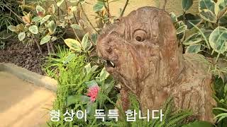 온실 속의 빼어나게 우아한 정원 이예요