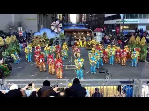 Polish American String Band 2015- "Fifty Shades of Hay" at the judges stand