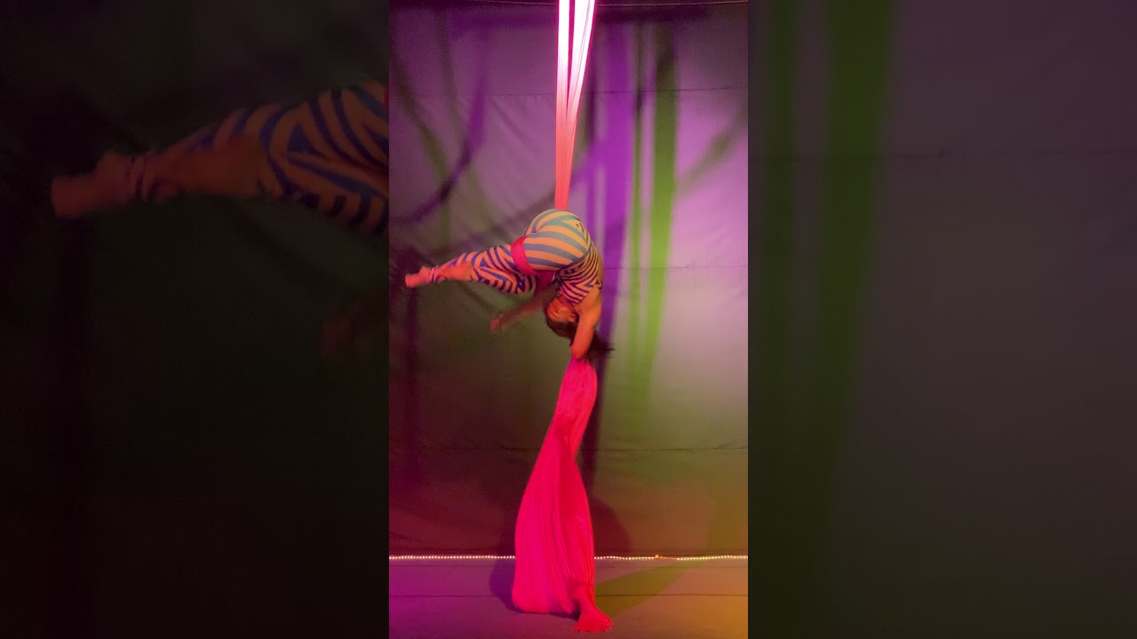 Promotional video thumbnail 4 for Sylvi Circus Arts