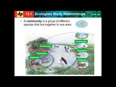 13.1: ecologists study relationships
