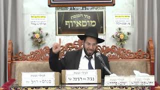 הרב יוחאי קמיל | פרשת השבוע | בית הכנסת מוסאיוף