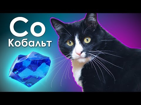 Кобальт - Металл из Кошачьего Туалета!