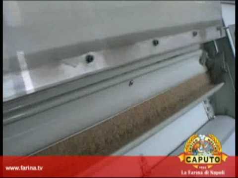 Video di una lentiggine e kipyatosha Se lolio di ricino da risposte di posti di pigmentary aiuta