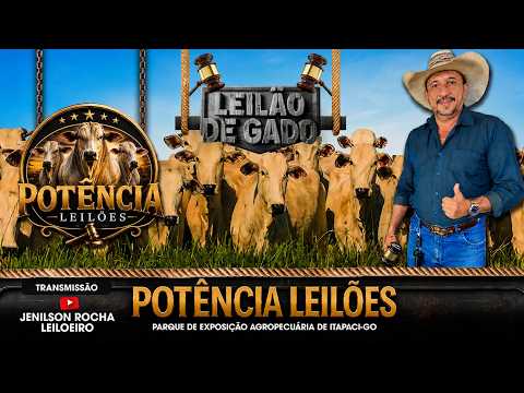 POTENCIA LEILÕES EM ITAPACI-GO 20/08/2026 JENILSON ROCHA LEILOEIRO