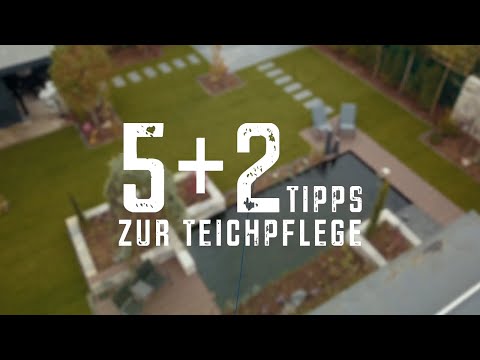 Die richtige Teichreinigung - 5 +2  Tipps für klares Wasser