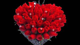 Mi primer amor. Pesado. (Letra)