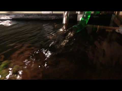 Watch Video on YouTube