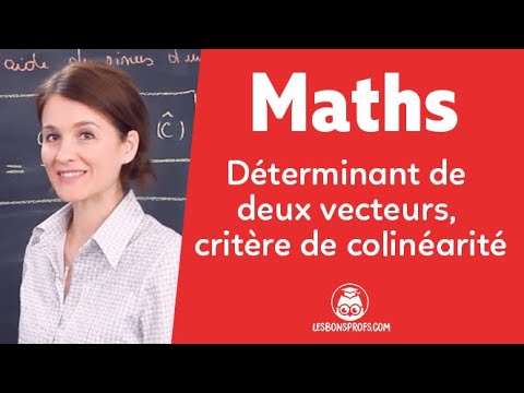 Déterminant de deux vecteurs, critère de colinéarité
