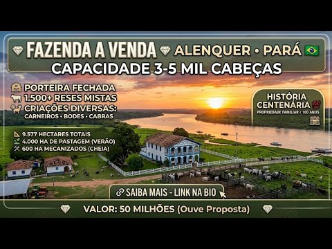 FAZENDA HISTÓRICA À VENDA EM ALENQUER (PA) | 9.577 HA | PORTEIRA FECHADA