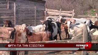 OΡΓΗ ΓΙΑ ΤΗΝ ΕΞΙΣΩΤΙΚΗ 10 08 2014