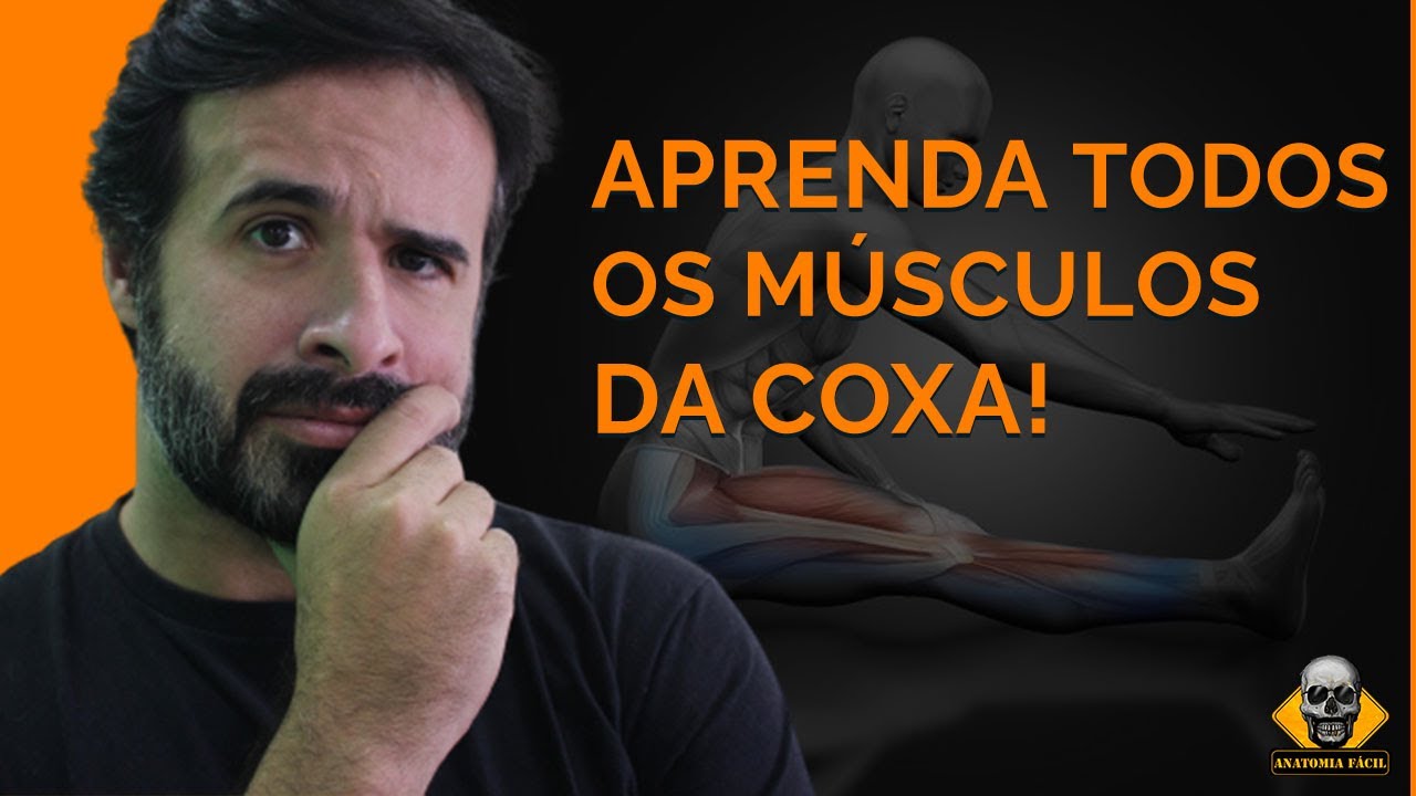 TODOS OS MÚSCULOS DA COXA EM 10 MINUTOS