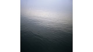 Purl & Deflektion - The Oracle