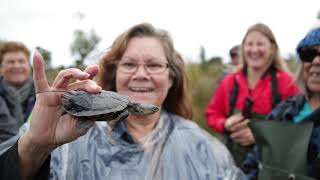 Testing a new place for Western Swamp Tortoises in a changing climate