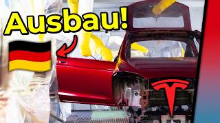 Während VW 11 % schrumpft: Tesla boostet Grünheide um 20 %