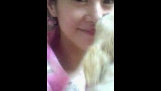 さとう珠緒　ギャラ1億円でAV出演オファー     www