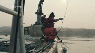 Oyster Farm | Indeed US