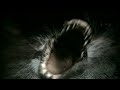 ROGUE CROC Full Movie 2007