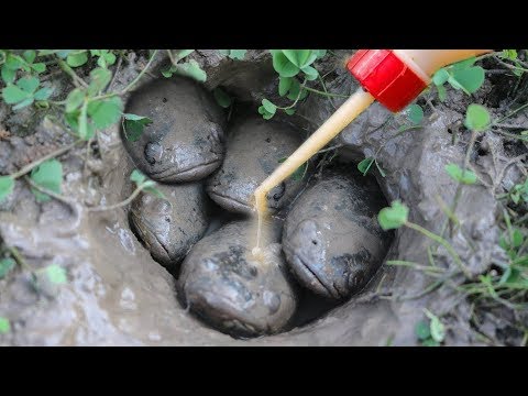 Amazing Oil Fishing New Method Of Catching Fish From Deep Hole New 2019
