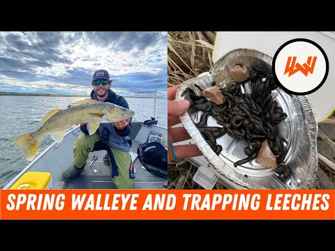 Ep. 092 // Spring Walleye and How to Trap Leeches - The Spring Sendoff