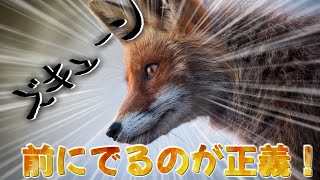 ごつもりさん主催エンジョイプラベ ～いほしかさん実況＆愉快な仲間達～