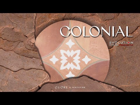 Imagen representativa video