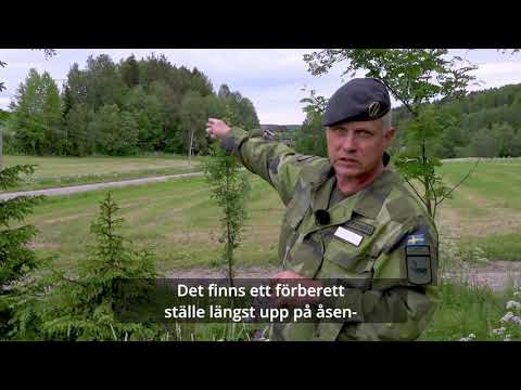 Striderna i Selånger 1721