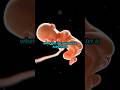 When Does the Soul Enter a Baby’s Body? Science and Belief Explained! #babysoul #baby #soul #birth