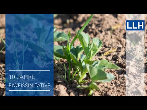 Leguminosen im Ackerbau und Grünland: Herausforderungen und Potentiale