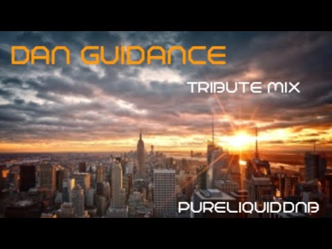 Dan Guidance Tribute Mix (Pure Liquid ) No: 181