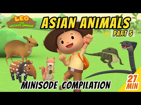 Asian Animals Minisode Compilation (Part 5/5) - Leo The Wildlife Ranger | Animation | For Kids