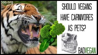 VEGANS SHOULDN&#39;T OWN CATS?! | BadVegan