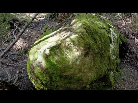 Living in Vancouver - Brothers Creek Hike
