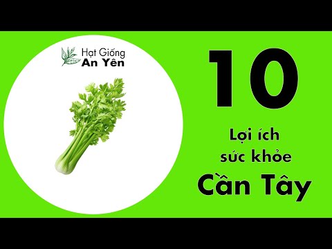 , title : '10 Lợi Ích Sức Khỏe Của Cần Tây | Hạt Giống An Yên Shop'