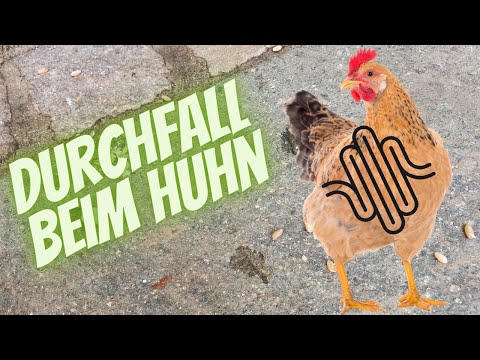 , title : 'Durchfall beim Huhn'