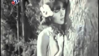 Sezen Aksu - Kaybolan Yıllar