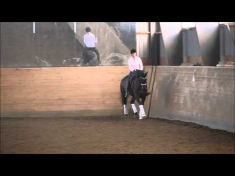 Lite trav, Soraya augusti 2015