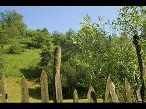 Branko Olar - Am kreskut kopil sarak